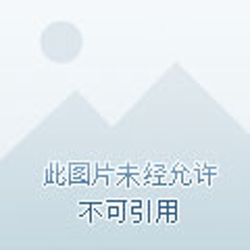 商品交易所:交易流程与市场动态
